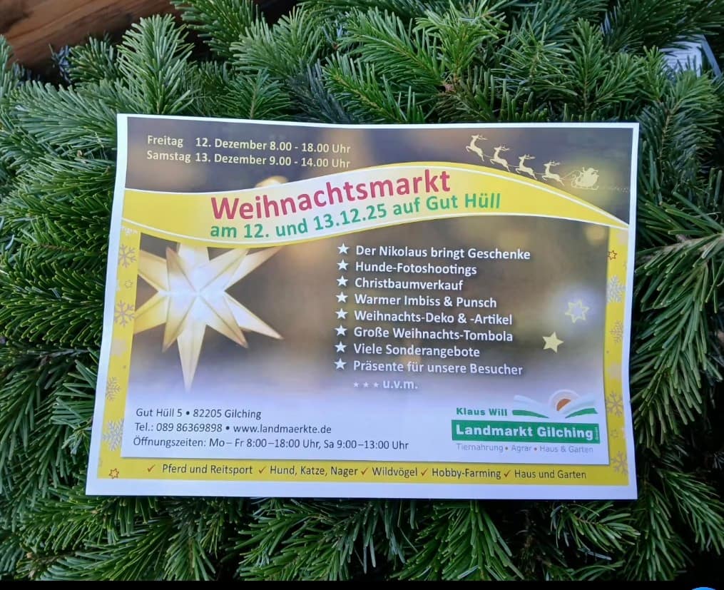 weihnachtsmarkt bild vom flyer