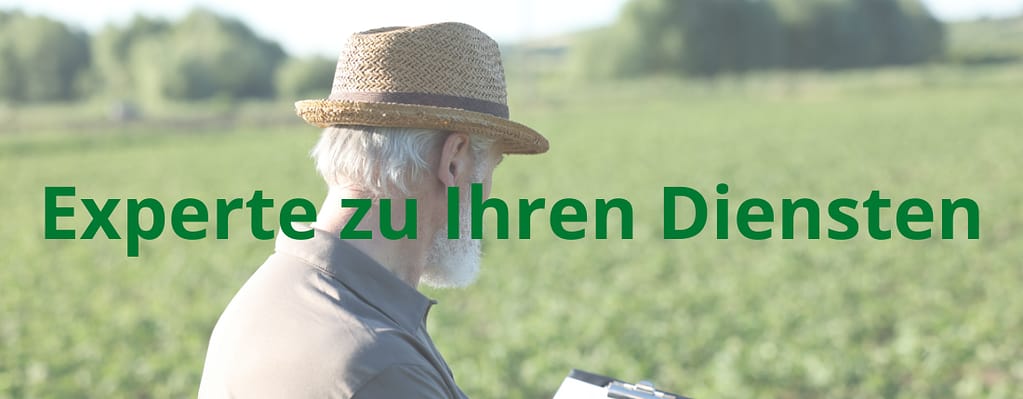 expert zu ihren Diensten