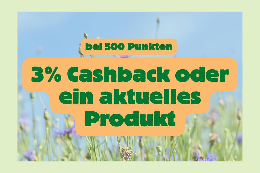 bei 500 Punkten, 3% Cashback oder ein aktualles Produkt
