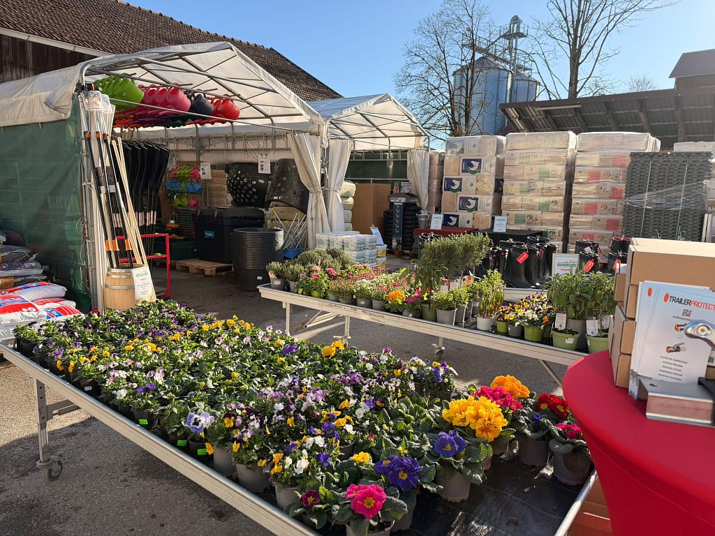 whatsapp image 2026 02 27 at 3.28.19 pm (4)