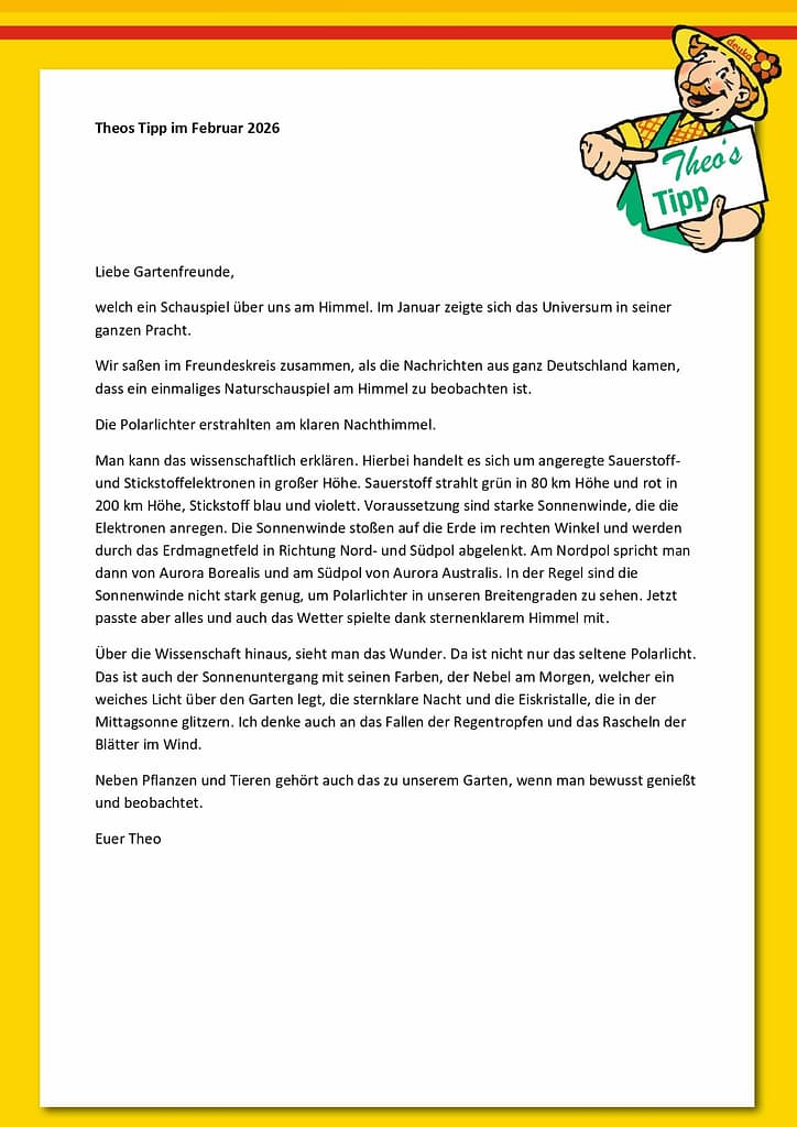 theos tipp februar page 0001