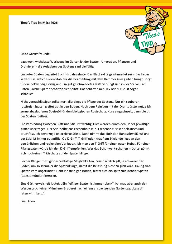 theos tipp mÄrz 2026 page 0001